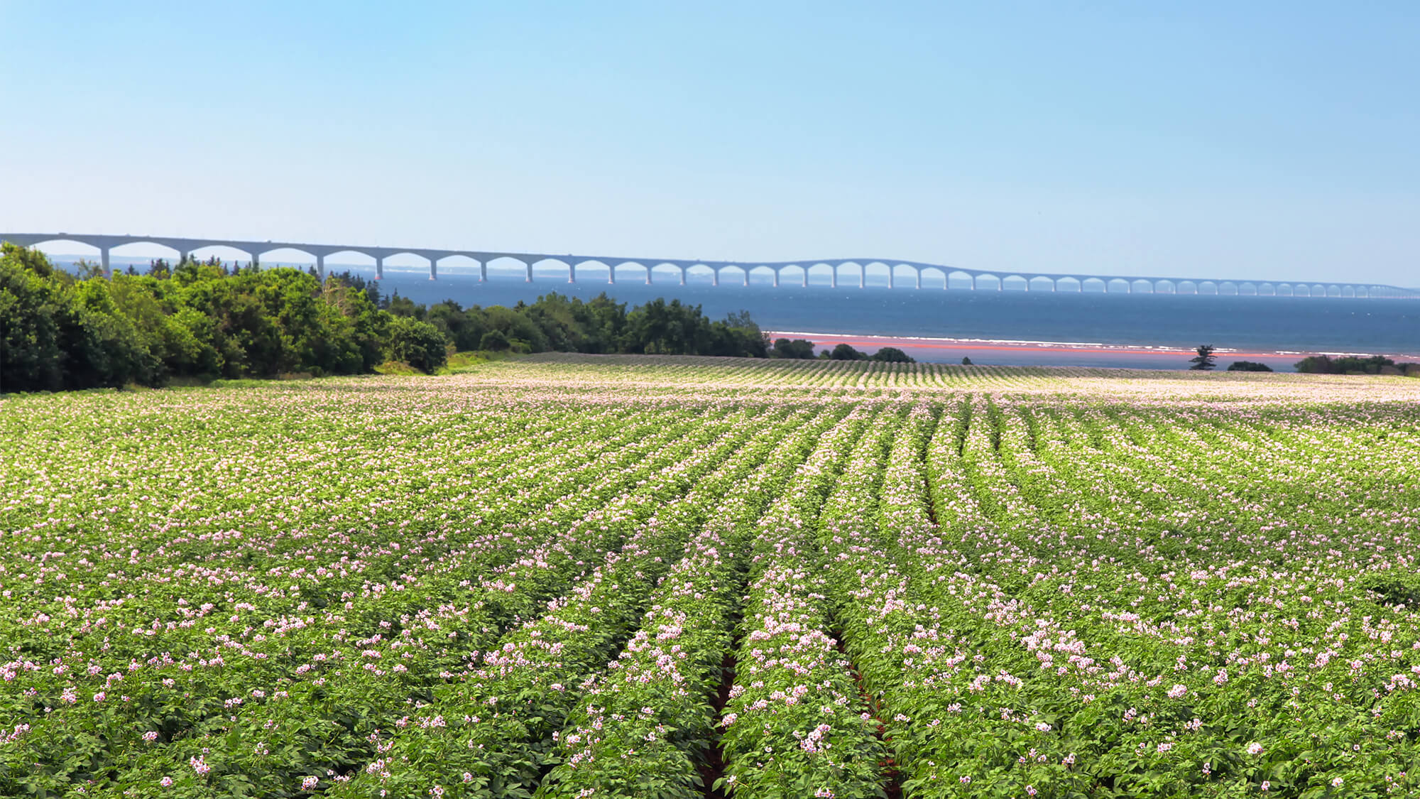 Agriculture - Monitor-Bio