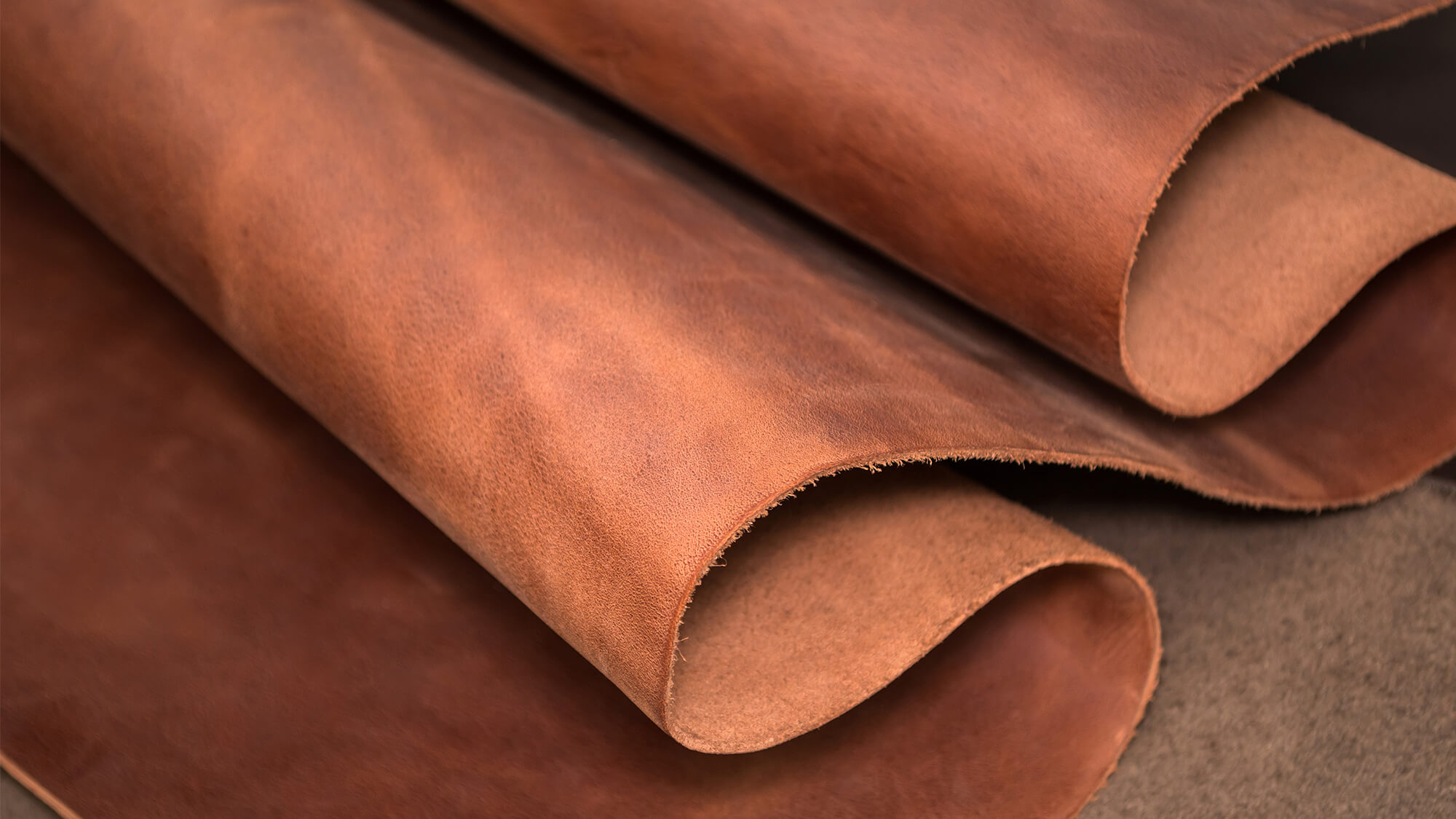 Leather Tanning - Monitor-Bio